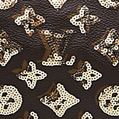 Louis Vuitton Limited Edition Coated Monogram Canvas 2010 to 2019