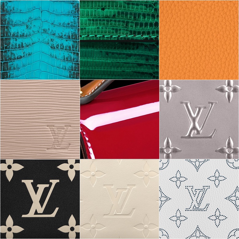 Different Types of Louis Vuitton Leather - Miss Bugis