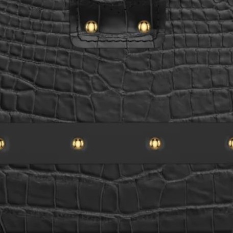 Louis Vuitton Crocodile Matte Leather Black