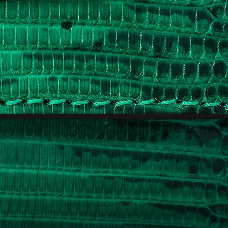 Louis Vuitton Lizard Leather Green