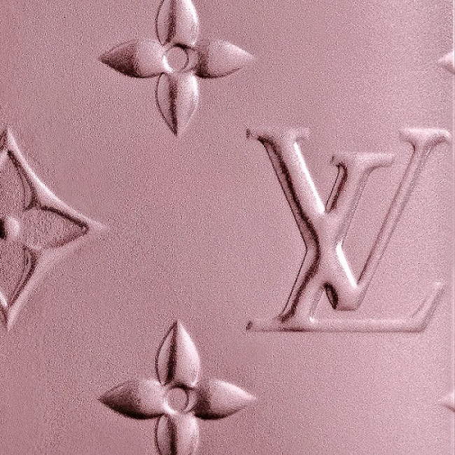 Background of a Leather Texture with the Brand Louis Vuitton