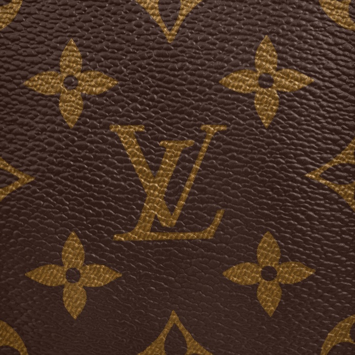 Louis Vuitton Monogram Canvas Colour and Pattern - Miss Bugis