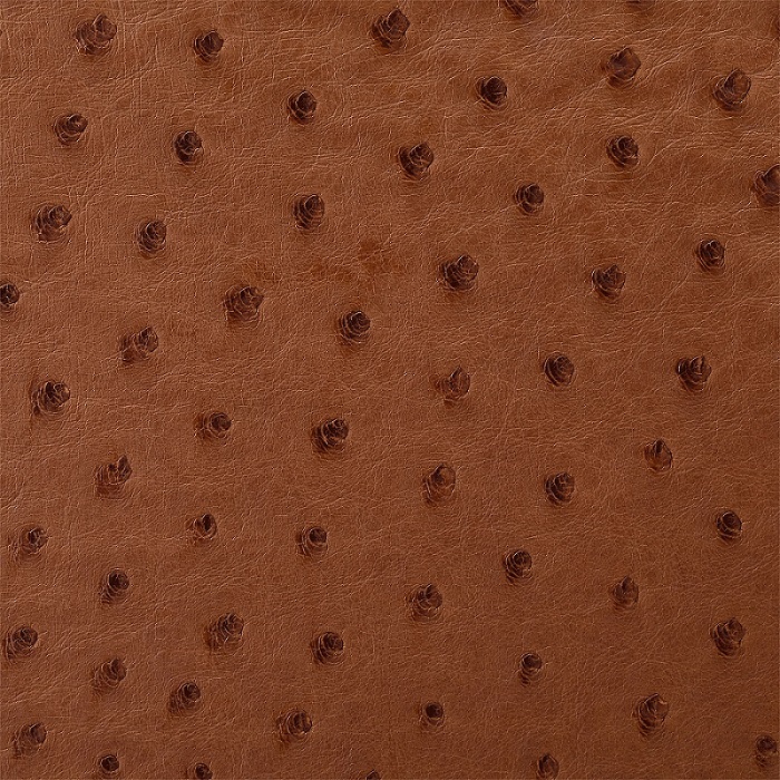 What Is Vachetta Leather? Louis Vuitton's Sophisticated Leather – Eiken Shop