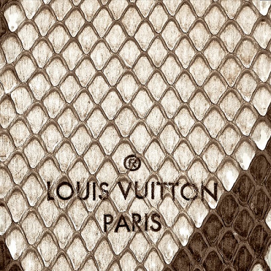Louis Vuitton Python Leather Cream
