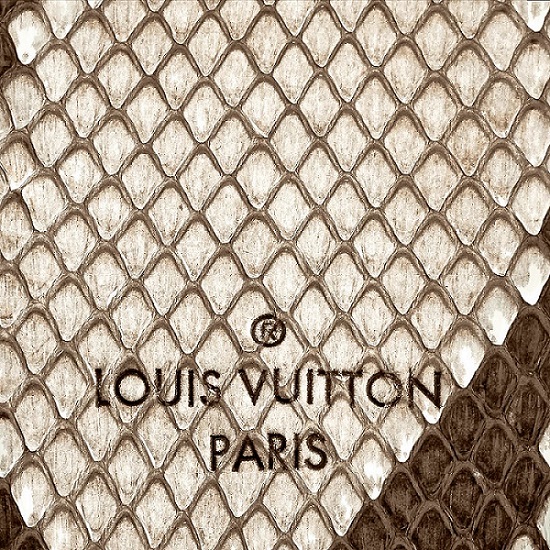 Different Types of Louis Vuitton Leather - Miss Bugis