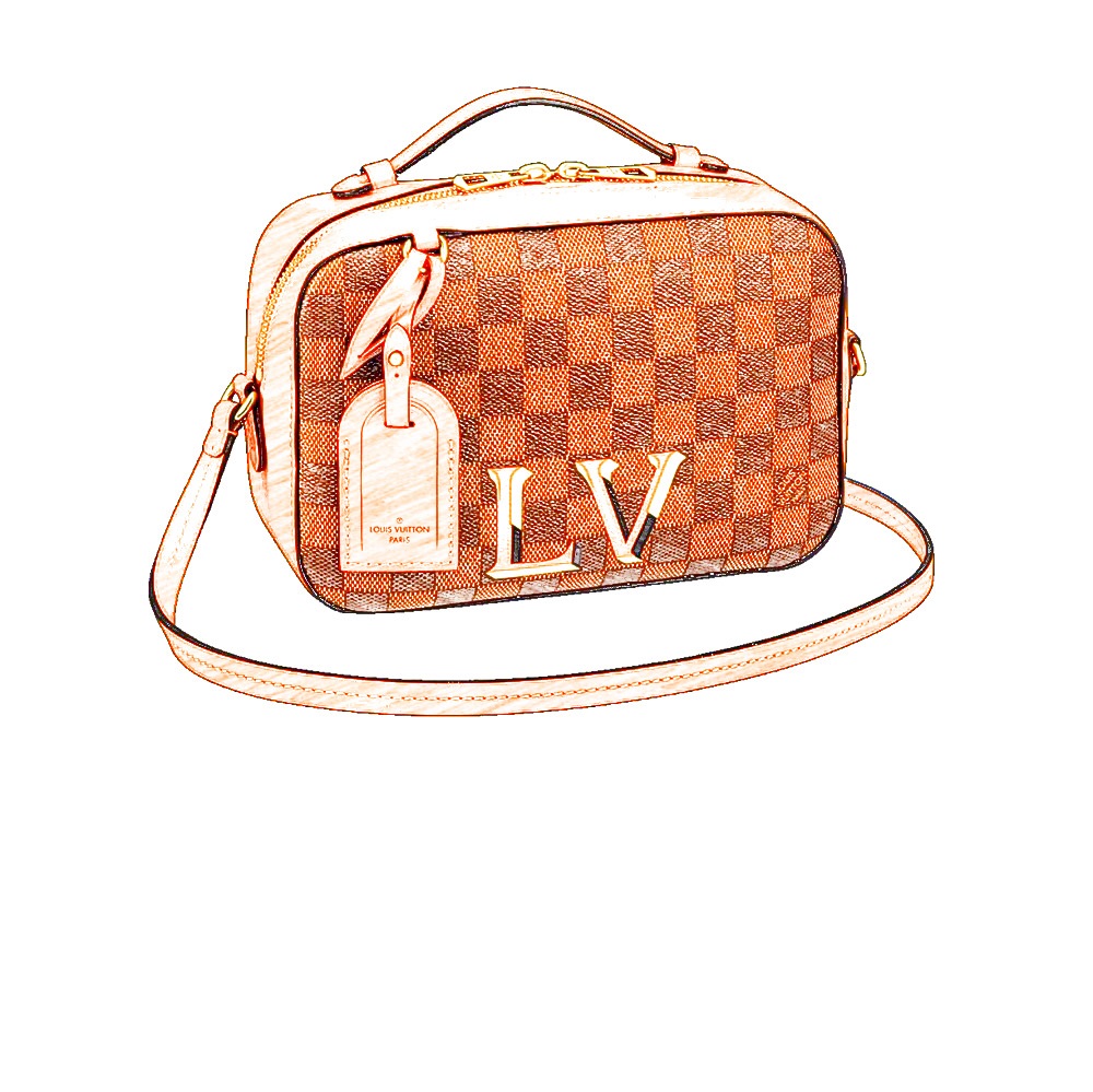 Louis Vuitton Damier Ebene Venus Santa Monica Camera Bag Crossbody 917 –  Bagriculture