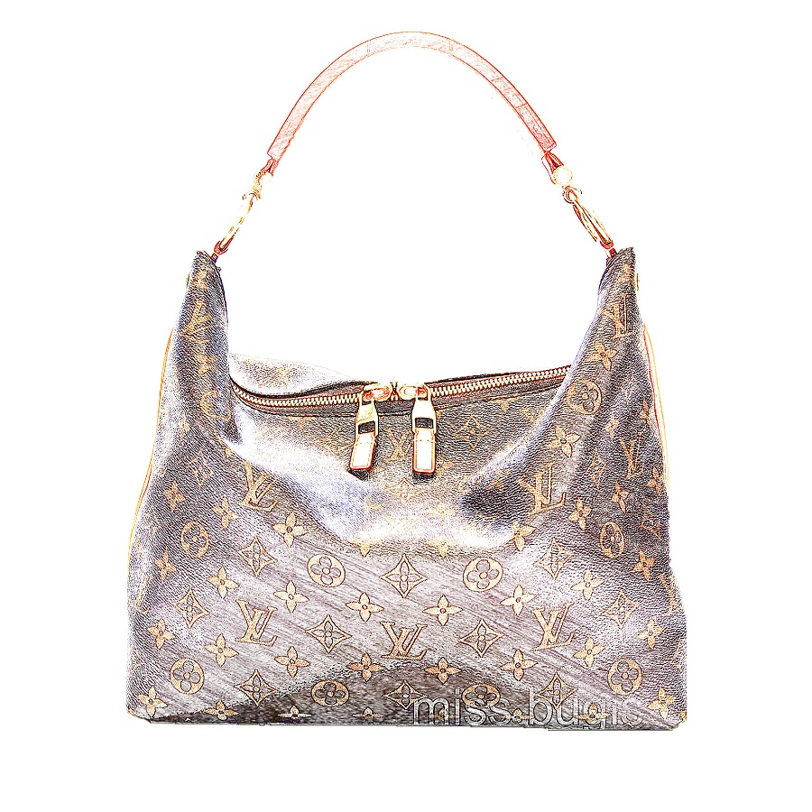 Louis Vuitton Monogram Canvas Sully PM - Miss Bugis