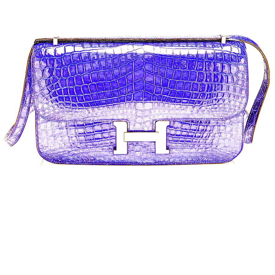 Hermes Constance Elan