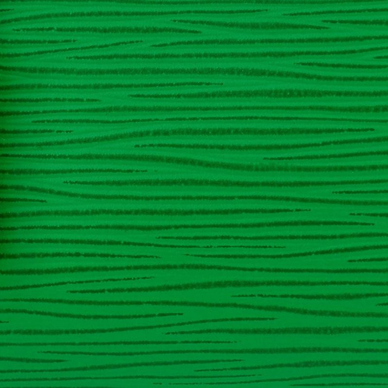 LV Epi LV Motion Green