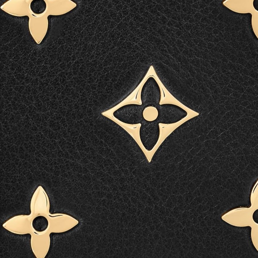 Different Types of Louis Vuitton Leather - Miss Bugis