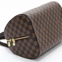 Louis Vuitton Damier Ebene Canvas Ribera MM