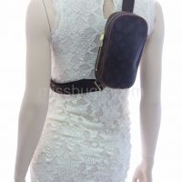 Louis Vuitton Monogram Canvas Pochette Gange