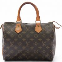 Louis Vuitton Monogram Canvas Speedy 25