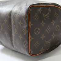 Louis Vuitton Monogram Canvas Speedy 25