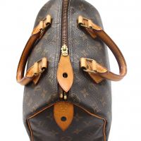 Louis Vuitton Monogram Canvas Speedy 25
