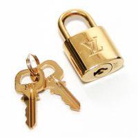 Louis Vuitton Monogram Idylle Speedy Bandouliere 30